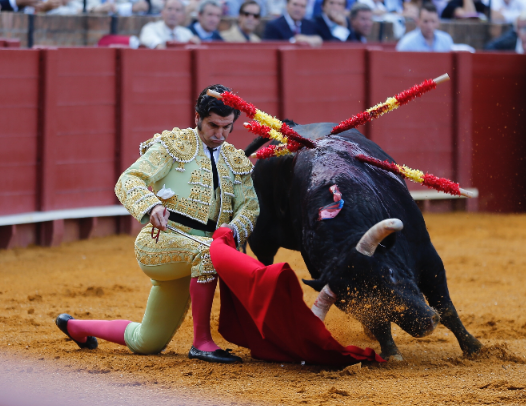 Moranre - joelho em terra.png