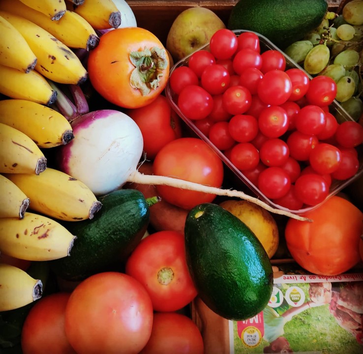 121647113_1843943179078768_3932637508965552278_o.j