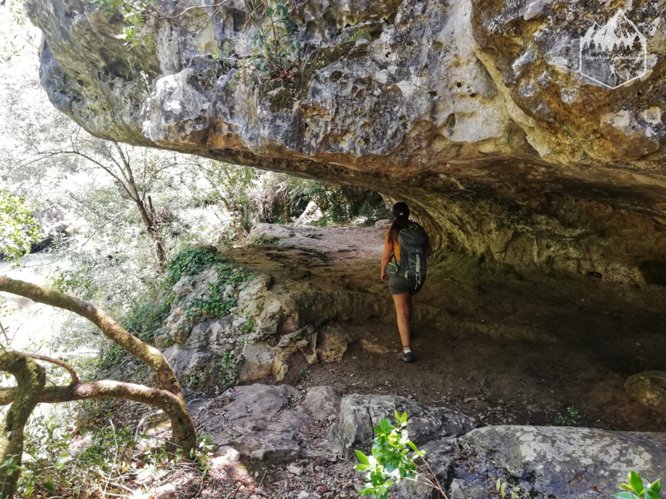 Photo_1596312480183.jpg Photo_1596312480183.jpg