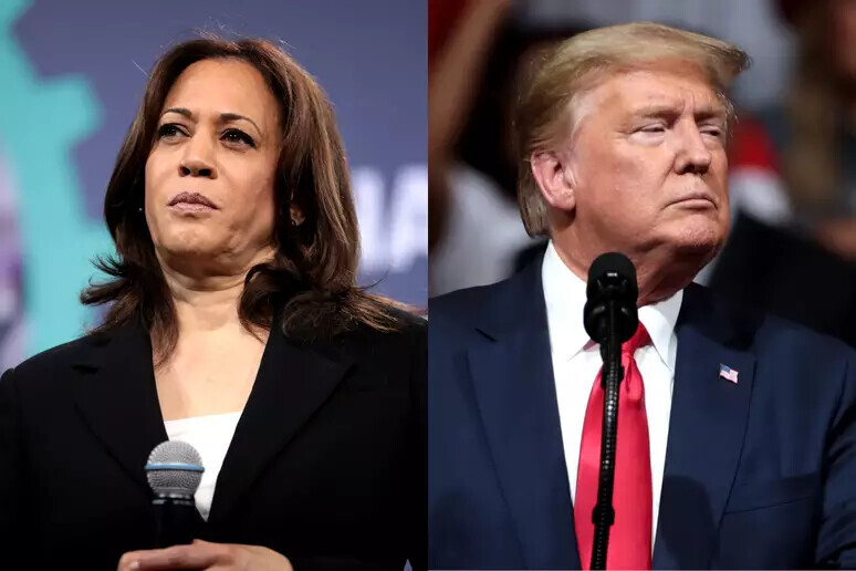 kamala-trump-qe73se3h2fqp.webp