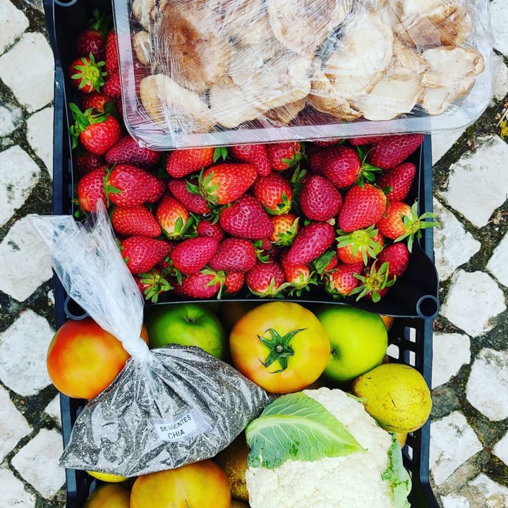 168794168_1988842761255475_7102922435598017239_n.j