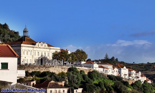 IMG_0081.JPG IMG_0081.JPG