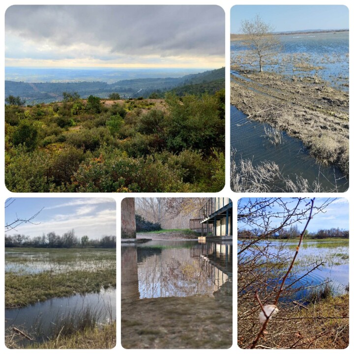 fotos marcas escola.jpg