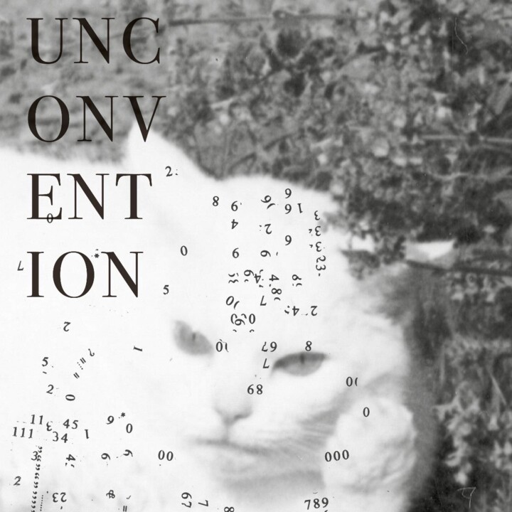 descarregar (15).jpg