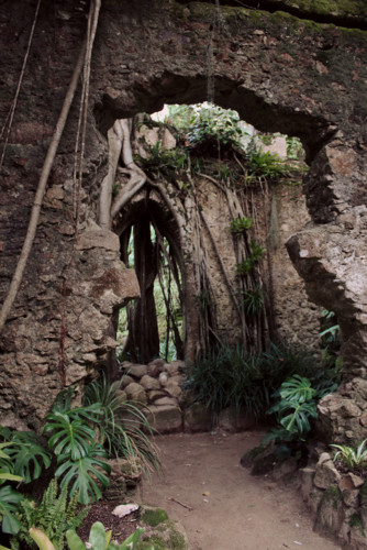 IMG_5609.jpg IMG_5609.jpg