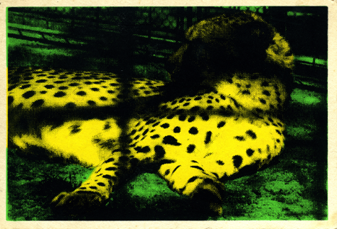 C842C041-E69A-4307-BA08-5E63578731F2.png C842C041-E69A-4307-BA08-5E63578731F2.png