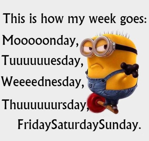 mini humor.jpg mini humor.jpg