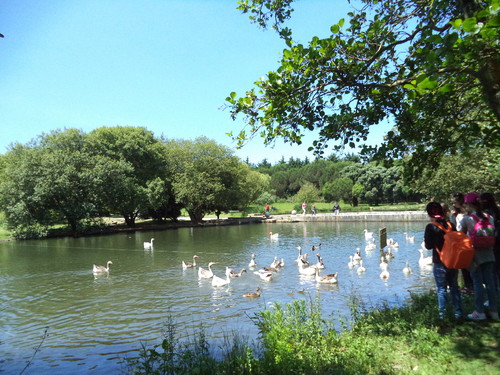 DSC00999.JPG DSC00999.JPG