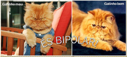 GATOBIPOLAR.jpg GATOBIPOLAR.jpg