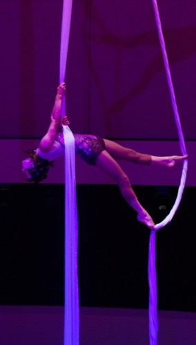 Raquel Nicoletti - Tecido2 (002).jpg