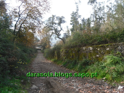 Trilho_Eiras_Famalicao_03.JPG