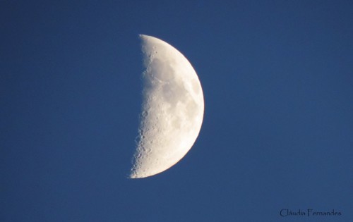 Cláudia Fernandes (4).jpg