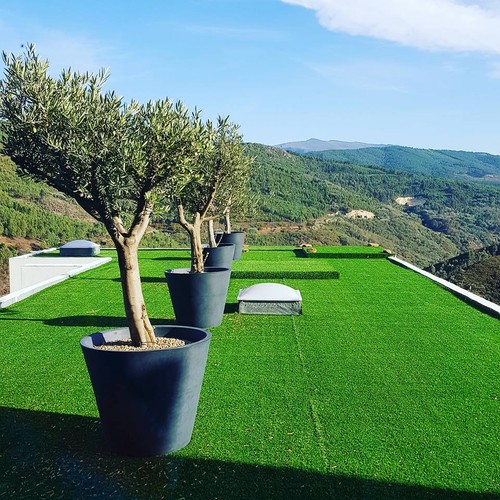 21369230_1769142576459783_1379386677810661557_n.jp