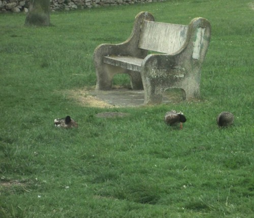 32907952_1652203254894973_1475759009242808320_n.jp 32907952_1652203254894973_1475759009242808320_n.jp