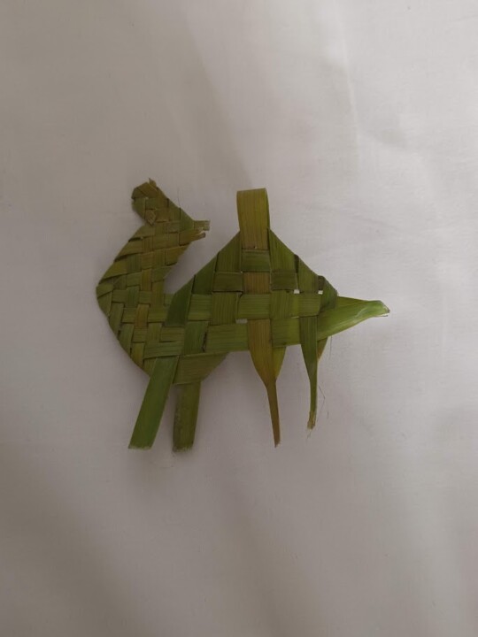 Não me canso disto_camelos5.jpg