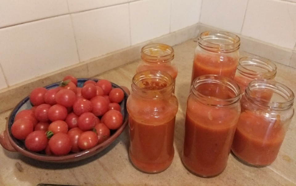 IMG_20190813_222646.jpg IMG_20190813_222646.jpg