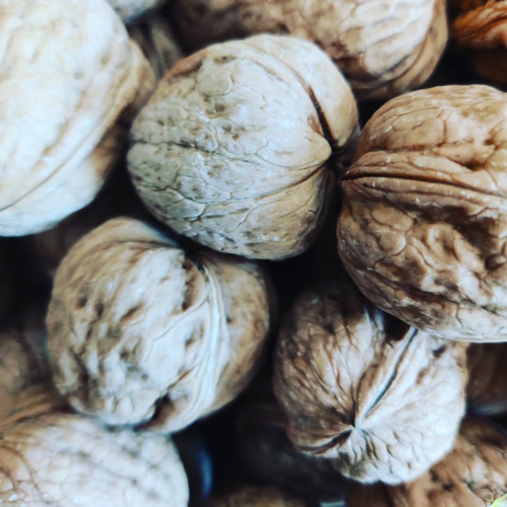 256783185_2165884366884646_6488099081869168891_n.j