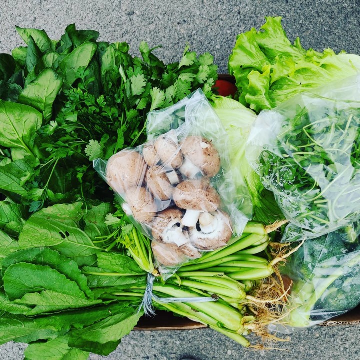 125499225_1873385449467874_1296378202833187282_o.j