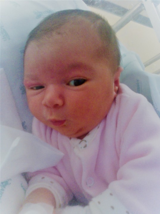 pimpolha.jpg pimpolha.jpg