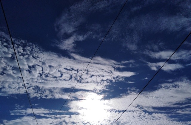 IMG_20210528_084656cópia.jpg IMG_20210528_084656cópia.jpg