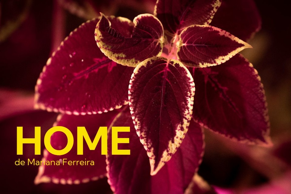 descarregar (14).jpg