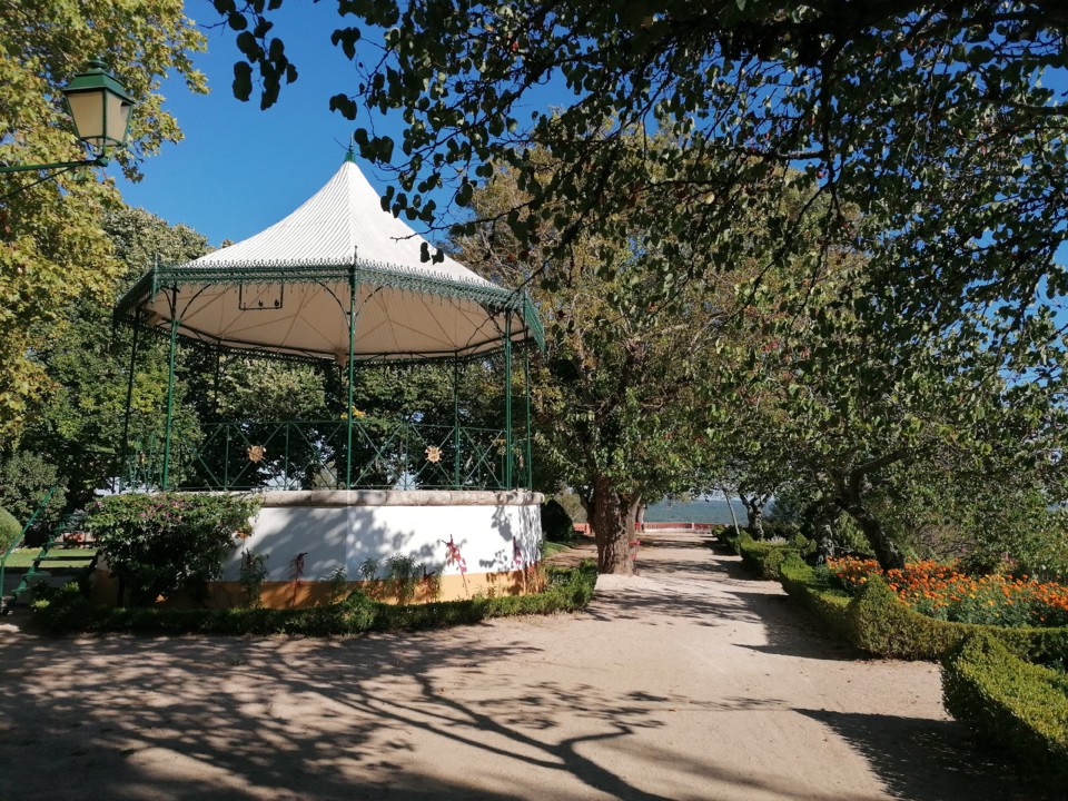 IMG_20200822_174144.jpg IMG_20200822_174144.jpg