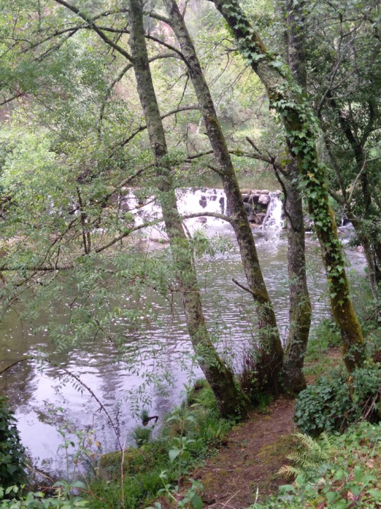 IMG_20210402_115607.jpg IMG_20210402_115607.jpg