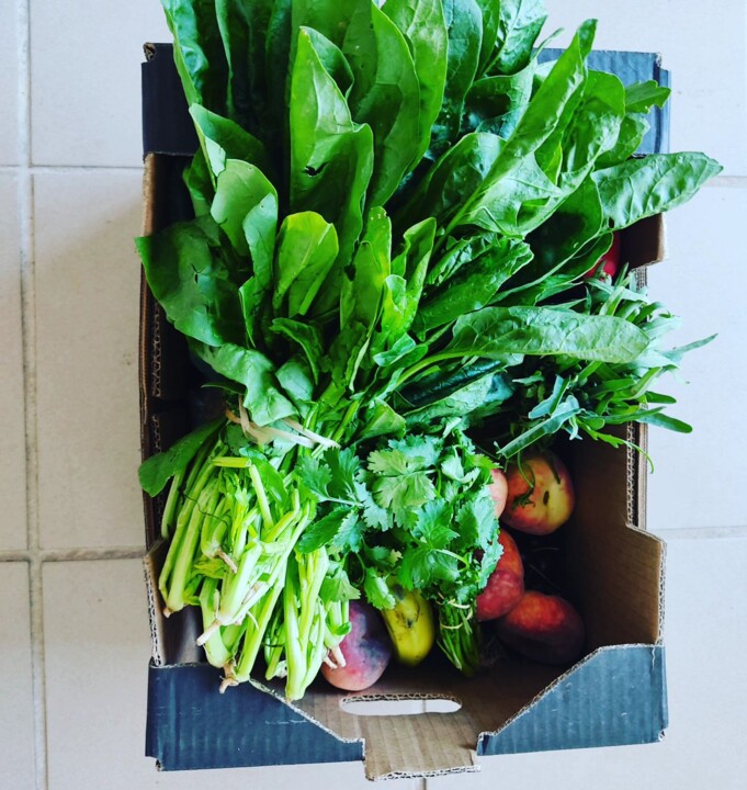 355506296_645378574286223_7076177907326817166_n.jp