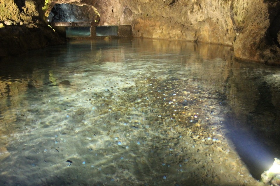 20190930140116_IMG_0789_resized_20191021_082742004