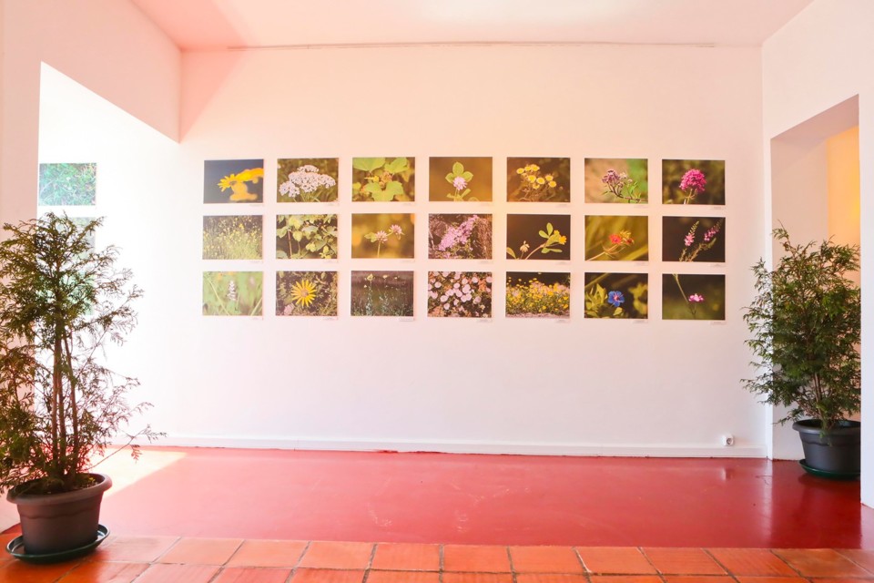 119073883_3229036697150837_9017264111396154966_o.j 119073883_3229036697150837_9017264111396154966_o.j