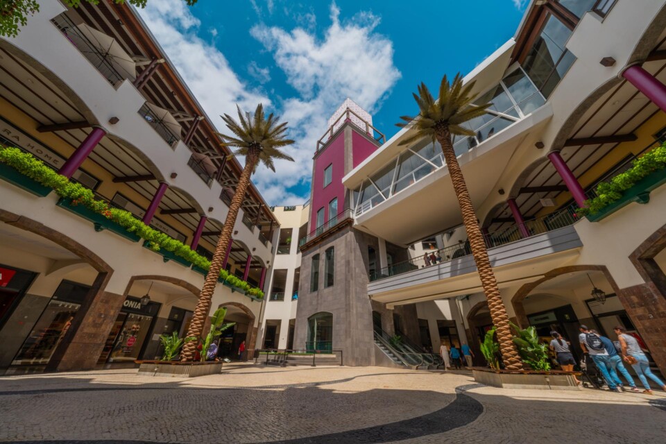 descarregar (33).jpg