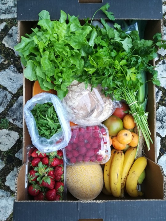 59684951_1363896240416800_7490650120749318144_n.jp