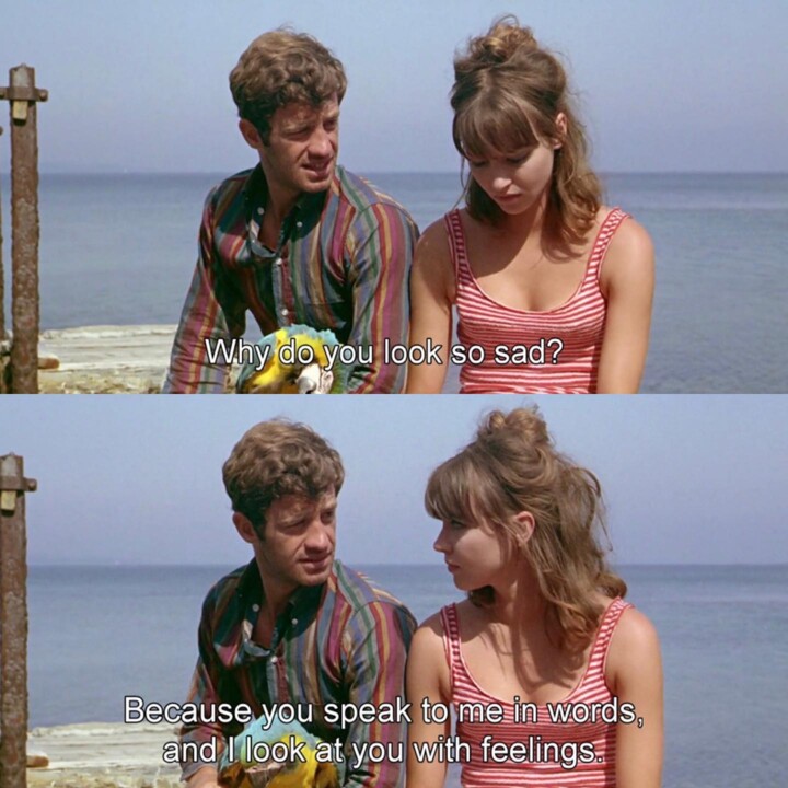 306190311_5253034674818993_213536633407592085_n.jp