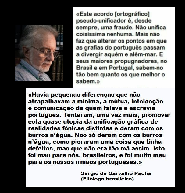 Sérgio Pachá 5.png