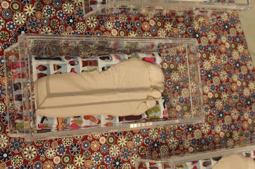 14523248_1119072794844247_8434125617301181055_n.jp