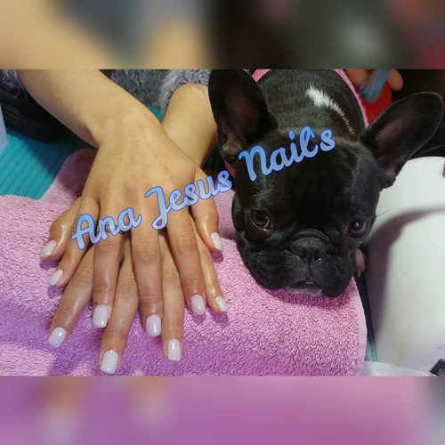 13173916_1200580073294759_6356865453846581927_n.jp 13173916_1200580073294759_6356865453846581927_n.jp