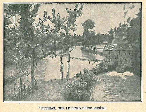 Uveiras nas margens do Rio Sousa