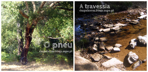 Percurso para a cascata de Milgontes II