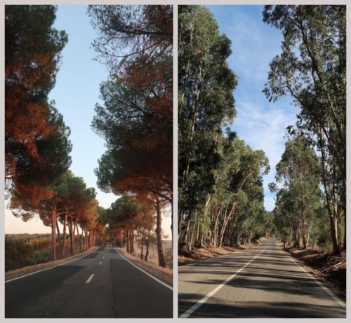 ferias 4.JPG ferias 4.JPG