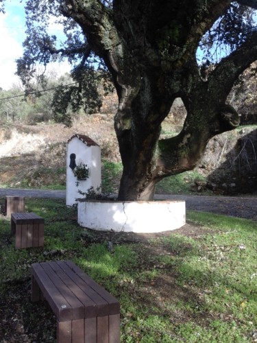 Local Descanso. Original DAPL. 2017.jpg