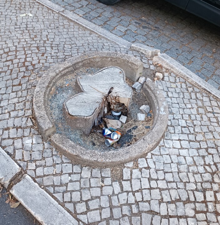 Lixo em caldeira.jpg