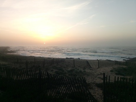 IMG_20200202_174409.jpg IMG_20200202_174409.jpg