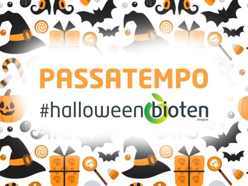 44269258_1135614899936456_5389306692229922816_n.jp