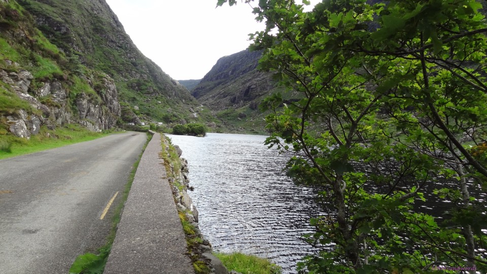 DSC07137.JPG DSC07137.JPG