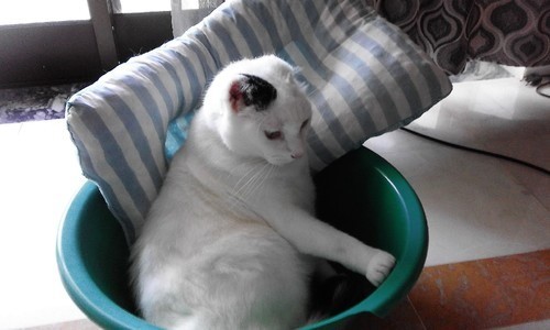 69688184_1099640006903133_3806020694240657408_n.jp