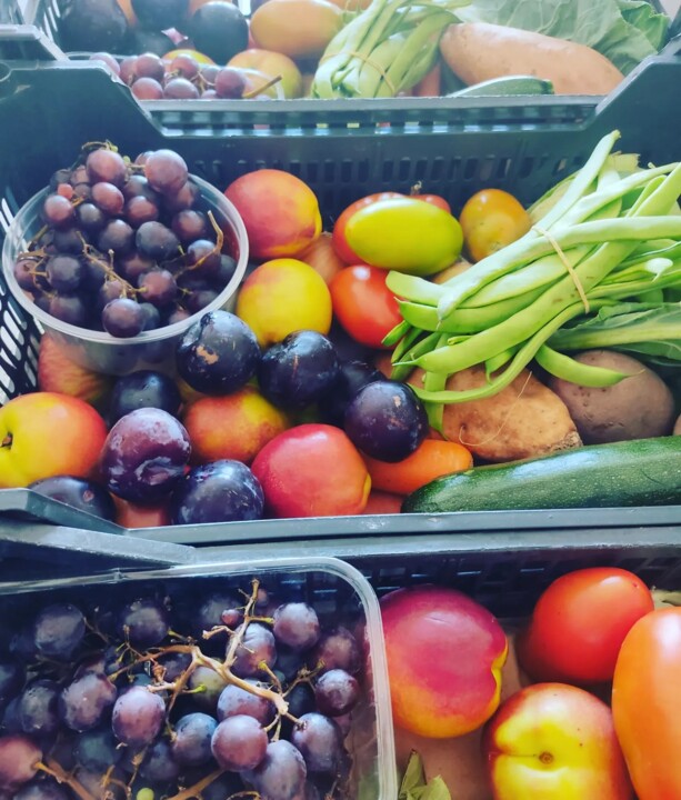 452004857_875888691235209_7978271340894295690_n.jp