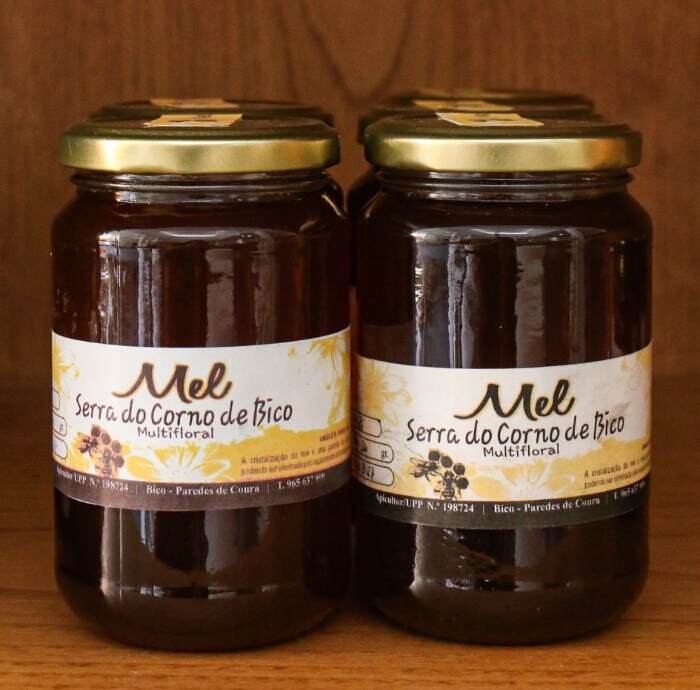 554304186_122107939377001746_2343760765847393437_n