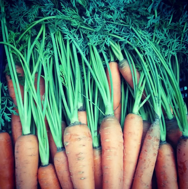 69834280_1461266640679759_7572709370769702912_n.jp