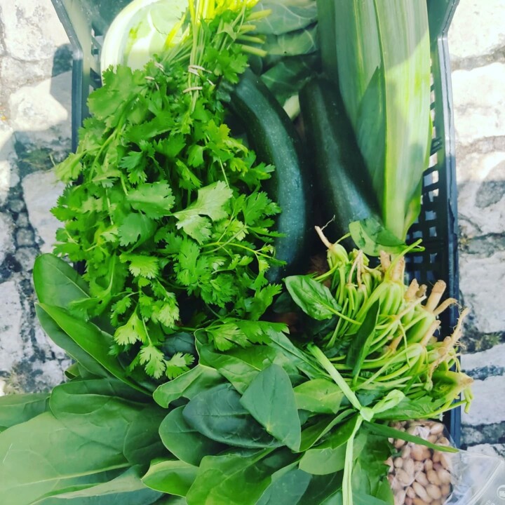 499600671_18479300095066958_8595875856053830698_n.