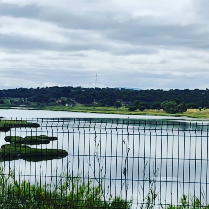 106004990_1740213319451755_7934180049616941227_o.j